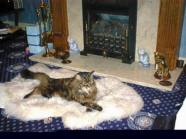 my pussy picture