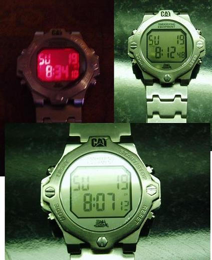 Cat watch Day and Night view